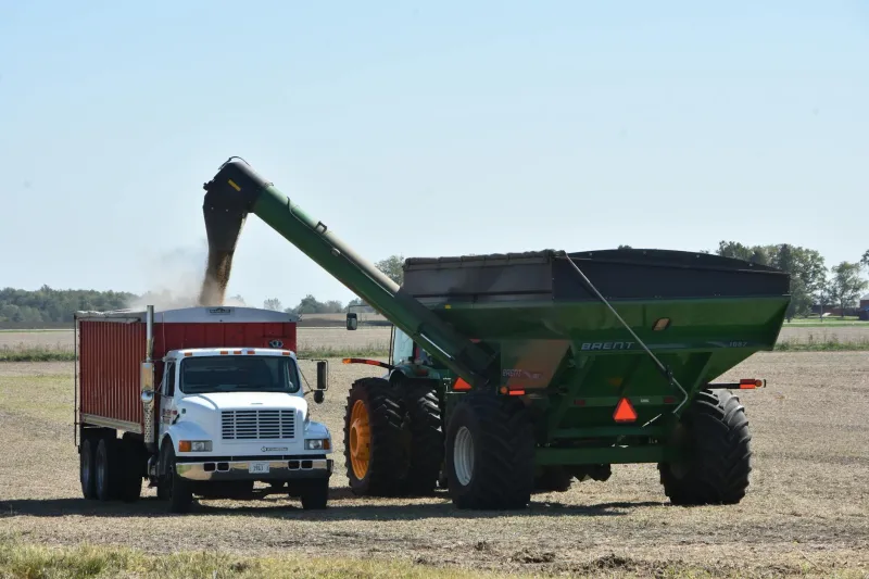 Der Zehn-Jahres-Vergleich: Wie sich die Ablösesummen in der Bundesliga seit 2016 vervielfacht haben – und wer wirklich profitiert